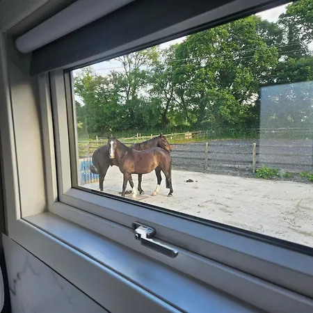 Nead Neamhai キラーニー