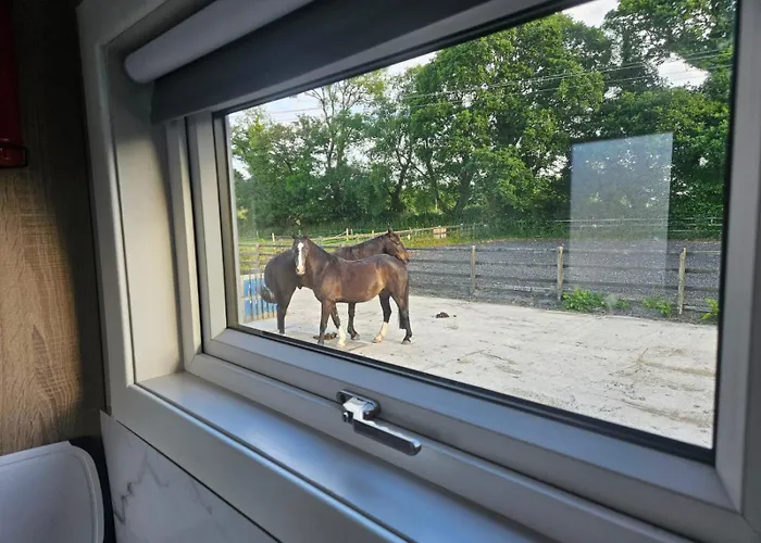 Nead Neamhai Килларни